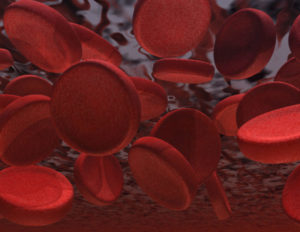 imagem ampliada de células do sangue para conscientizar sobre doação de sangue
